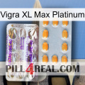 Vigra Xl Max Platinum new12